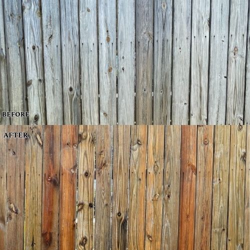 Best Fence Cleaning in Greenwood, SC